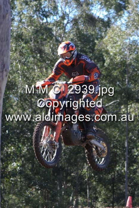 445x677 pixels (80K)